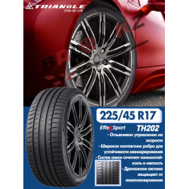 225/45/17 Triangle TH202 (94Y)